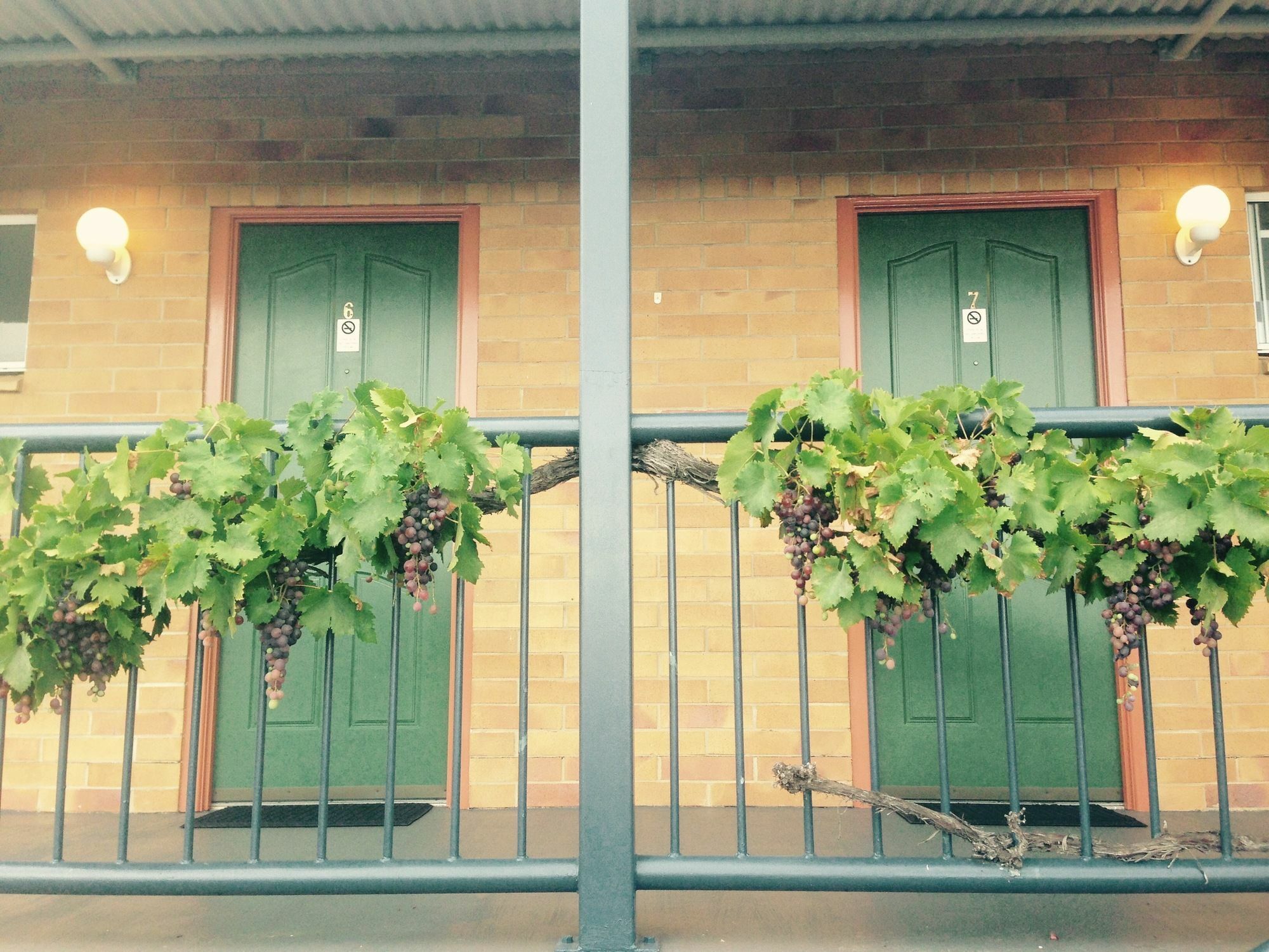 The Vines Motel & Cottages Станторп Экстерьер фото